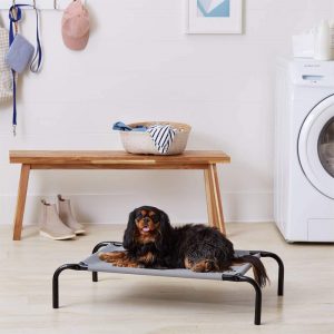 best cooling dog bed