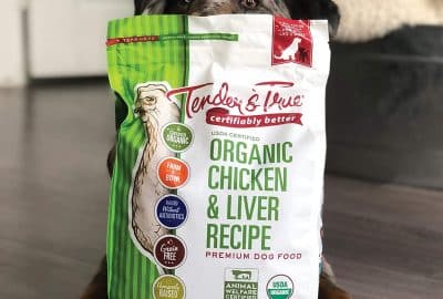 best organic dog foods