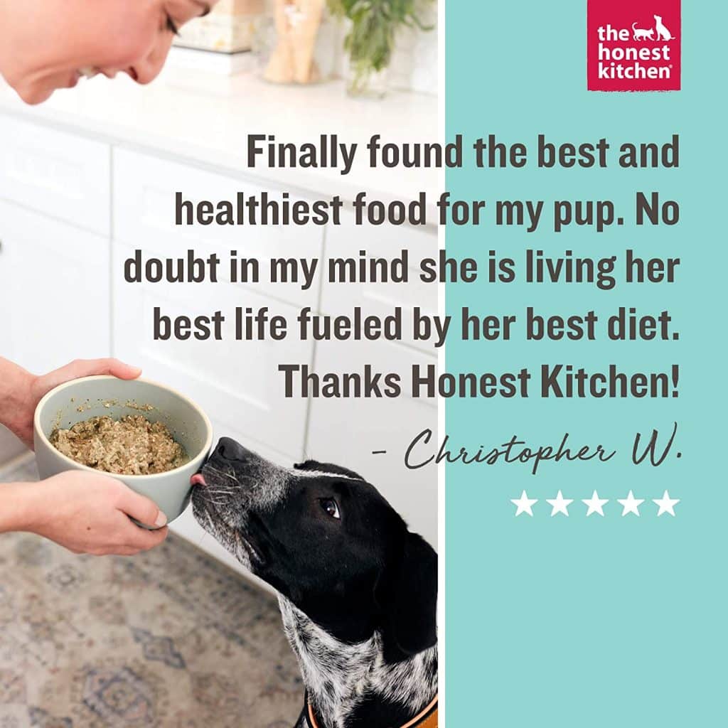 Best Organic Dog Foods FOR DOGS REVIEWS