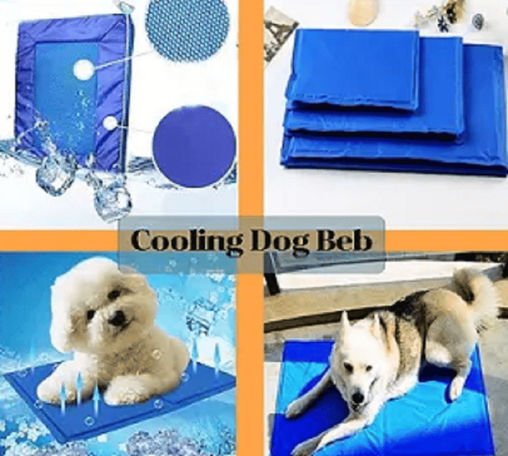how to choose a cooling dog bed