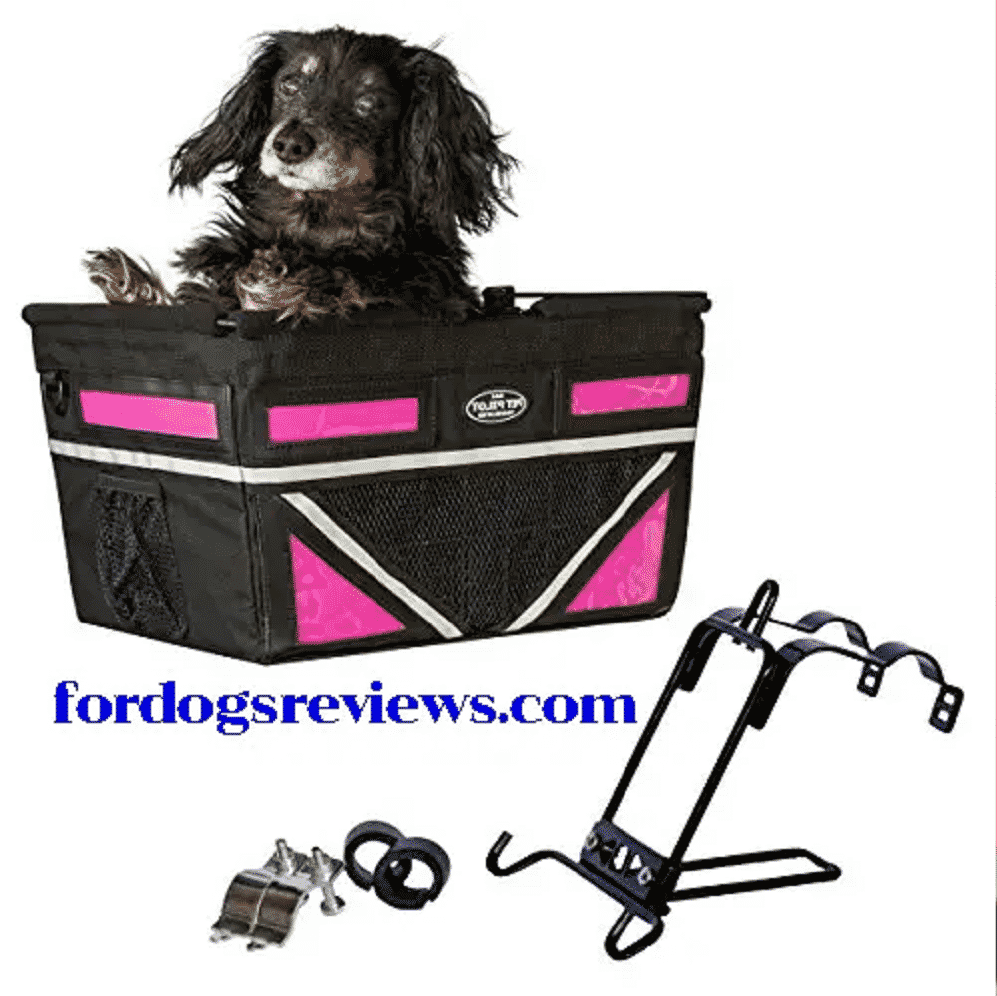 How To Choose Dog Basket For Bike FOR DOGS REVIEWS