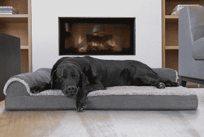 best cooling dog bed