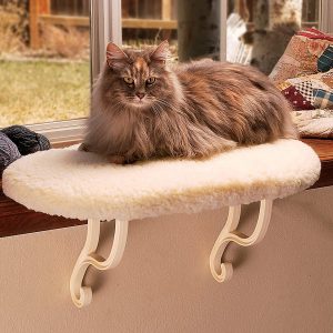 best-cat-beds