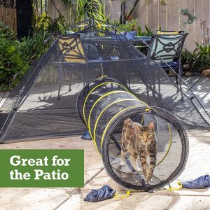 best cat agility tunnels 