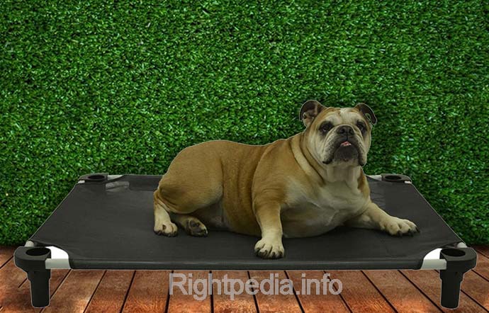 Outdoor Dog Beds With Canopy - FOR DOGS REVIEWS