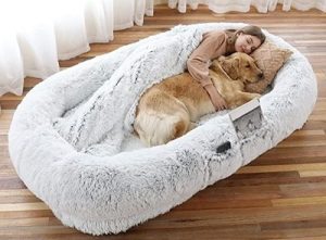 How to Choosing a Bed for Large Dogs