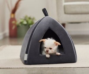 The Advantages of a Dog Tent Bed