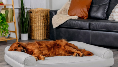 how to choose leather dog beds