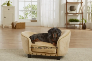 leather dog beds