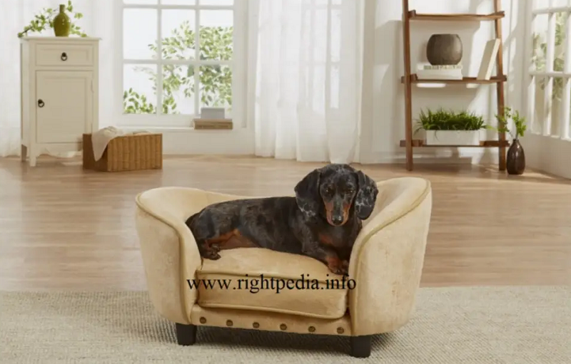 leather dog beds