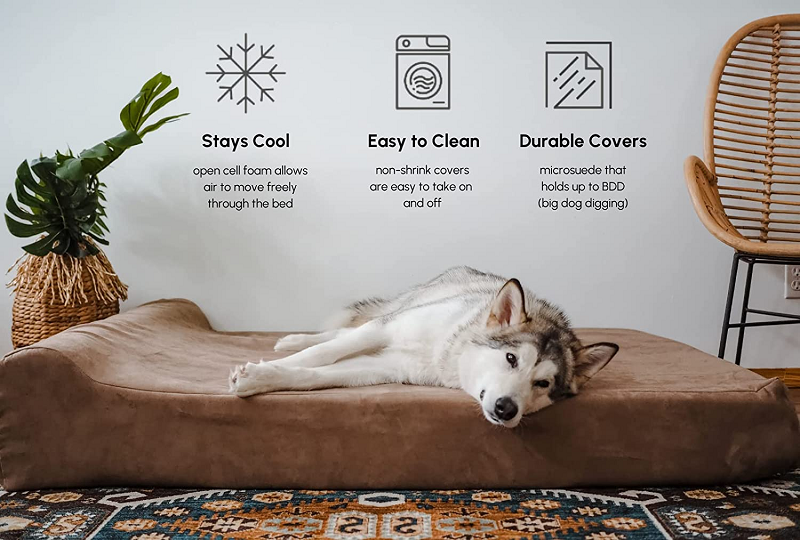how to choose the best dog bed for large dogs
