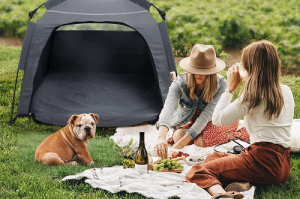 how to choose dog tent beds