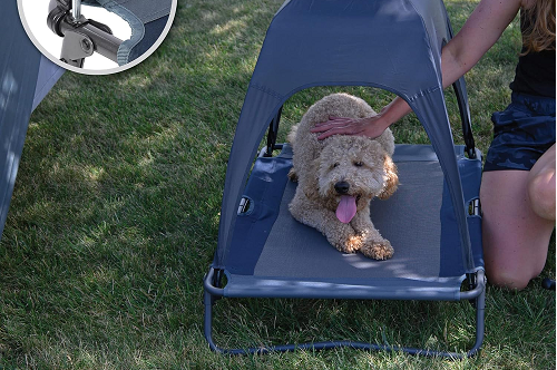 outdoor dog beds with canopy
