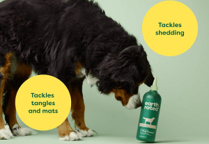 Does Dog Hair Grow Back After Shaving? 4 does dog hair grow back after shaving