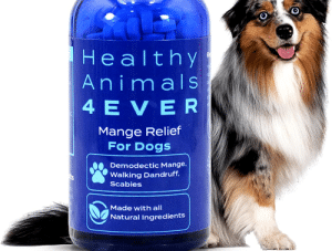 Does Dog Hair Grow Back After Shaving? 5 does dog hair grow back after shaving